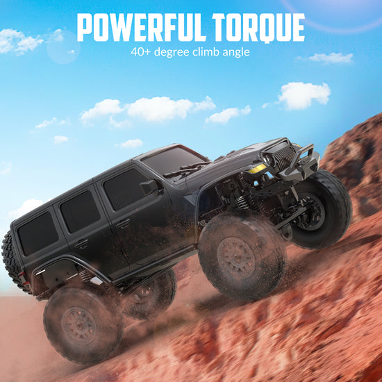 RACENT 1:24 Crawler RC Monster Truck Rock Climbing with led Light (78701 Black)-EXHOBBY LIMITED.